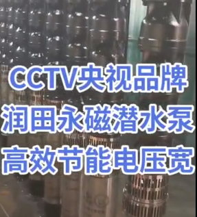 永磁潜水泵
