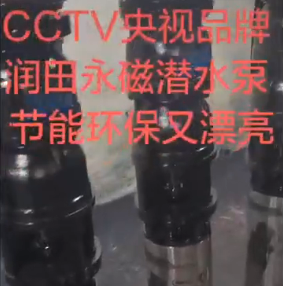 永磁潜水泵