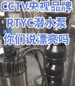 RTYC潜水泵